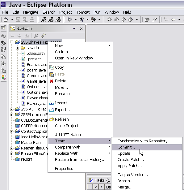 sims is 255  version control with eclipse and cvs