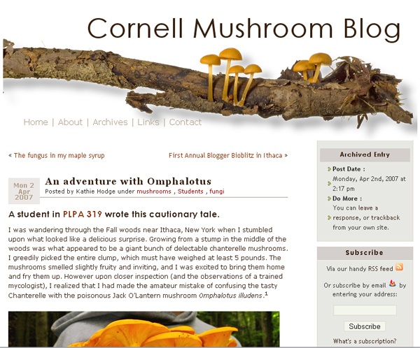 Blogs - mushroom blog