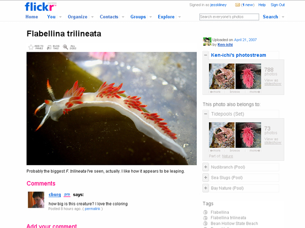 Photo-sharing resource - Flickr