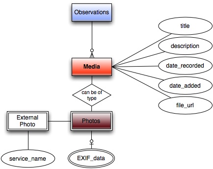 Media ER diagram