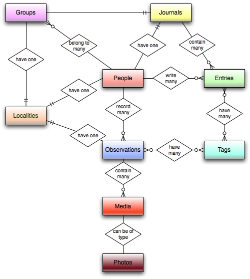 Overview of the iNaturalist data model, including higher level entities