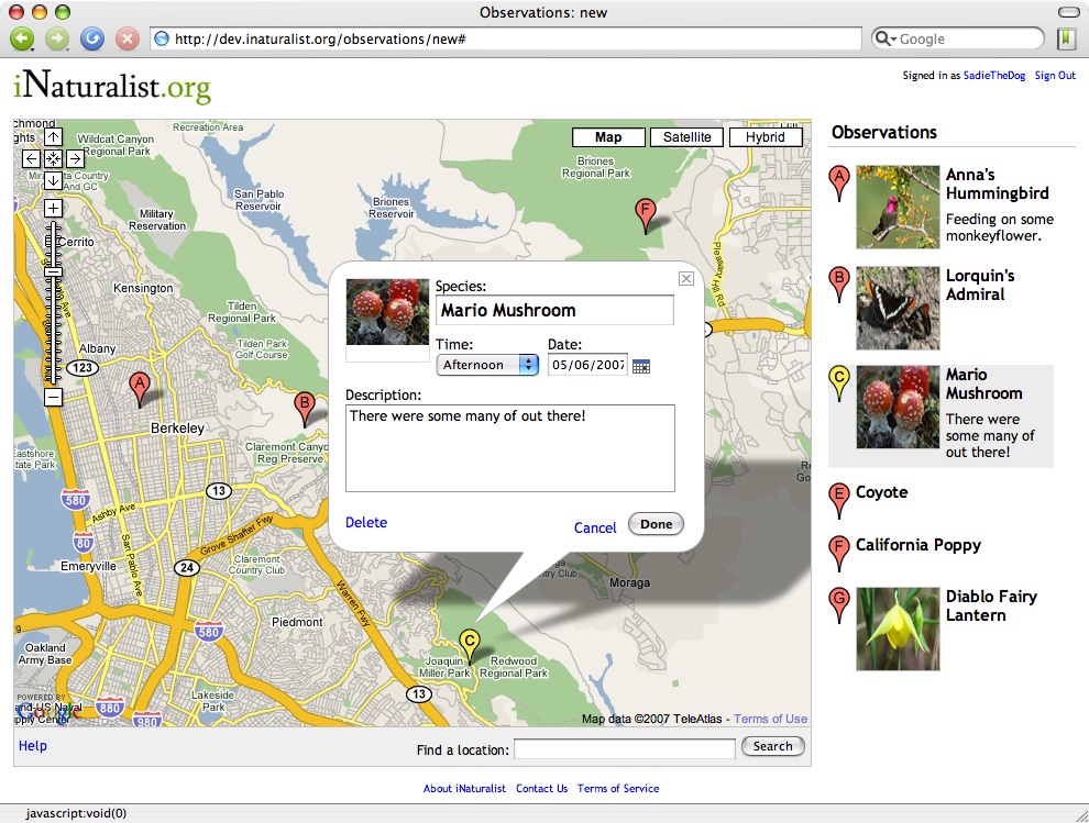 Main screen of the 3rd interactive prototype