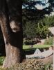 IMG_20111031_154942.jpg