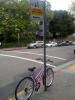 bike2.jpg