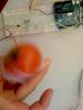 Spinning tomato